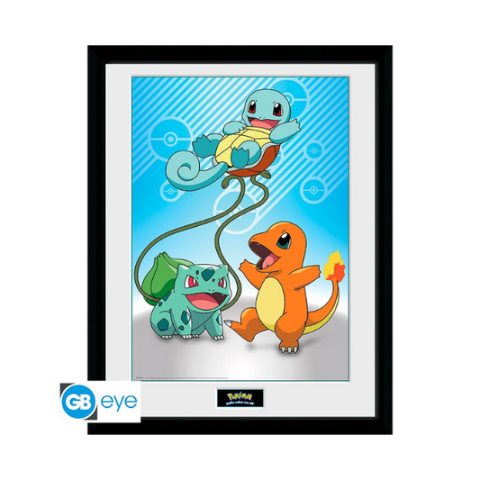 Pokemon gerahmtes Poster Kanto Starter